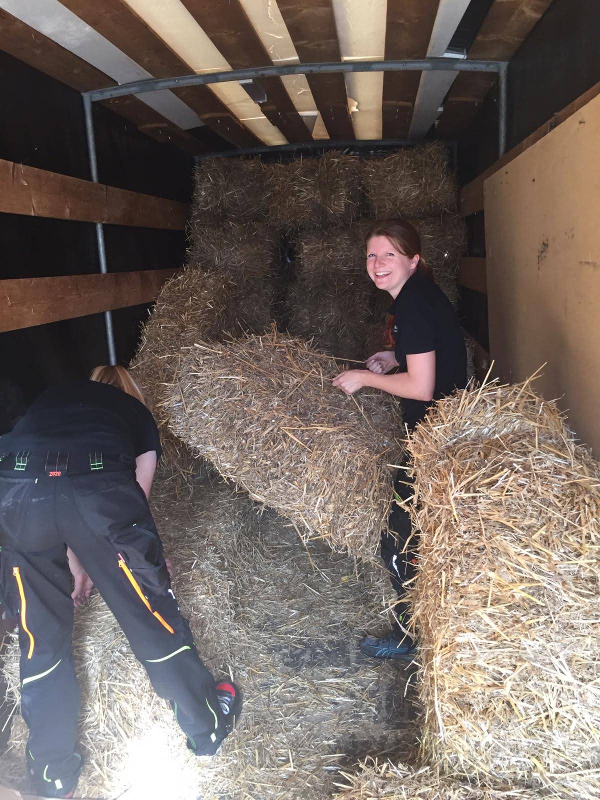 Sabine bei der Arbeit